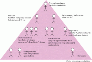 Patients Included In Research