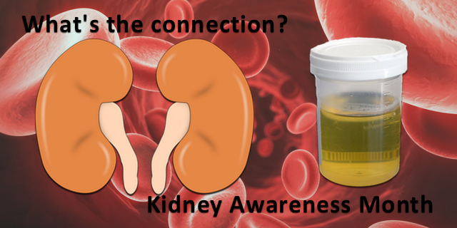 6 Facts You Probably Didn’t Know About Your Kidneys