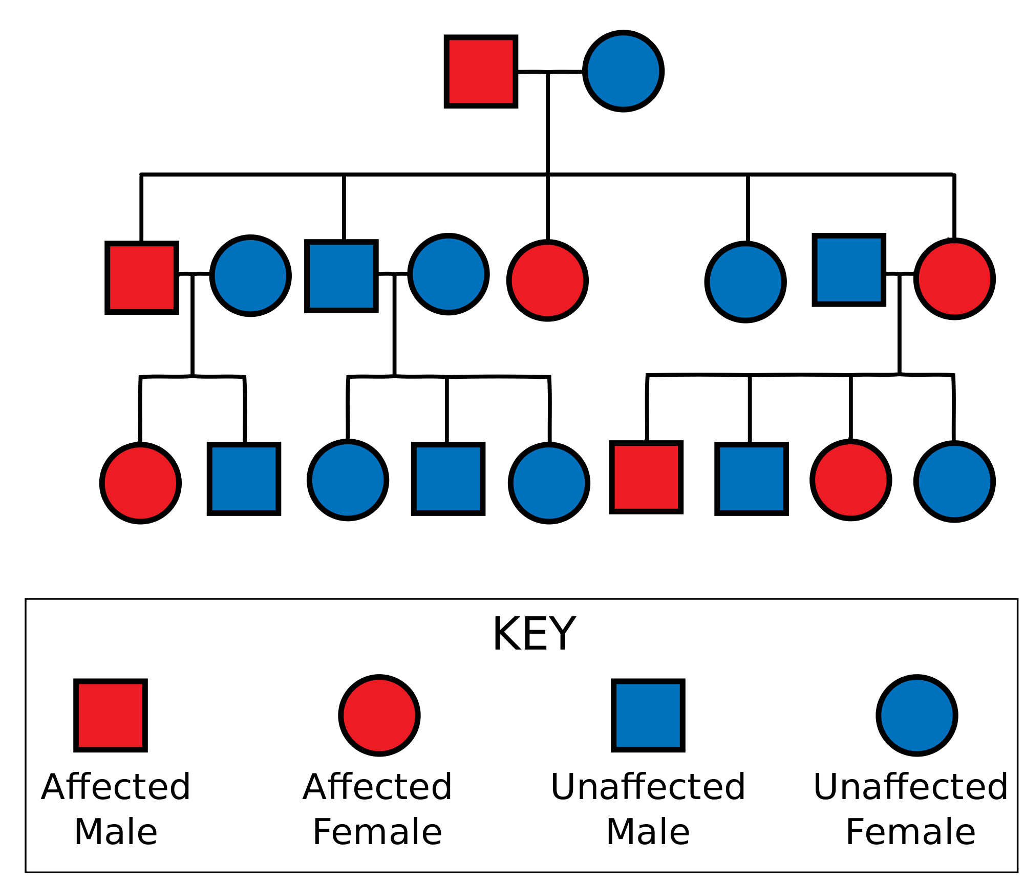 Pedigree Chart Analysis