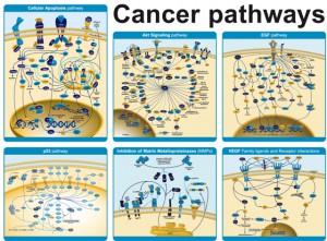 Oncology Basics 2016: Genes And Cancer Treatment