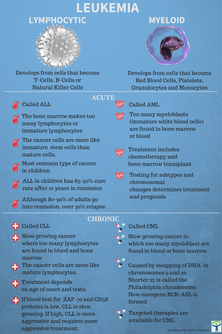 Leukemia Types And Prognosis