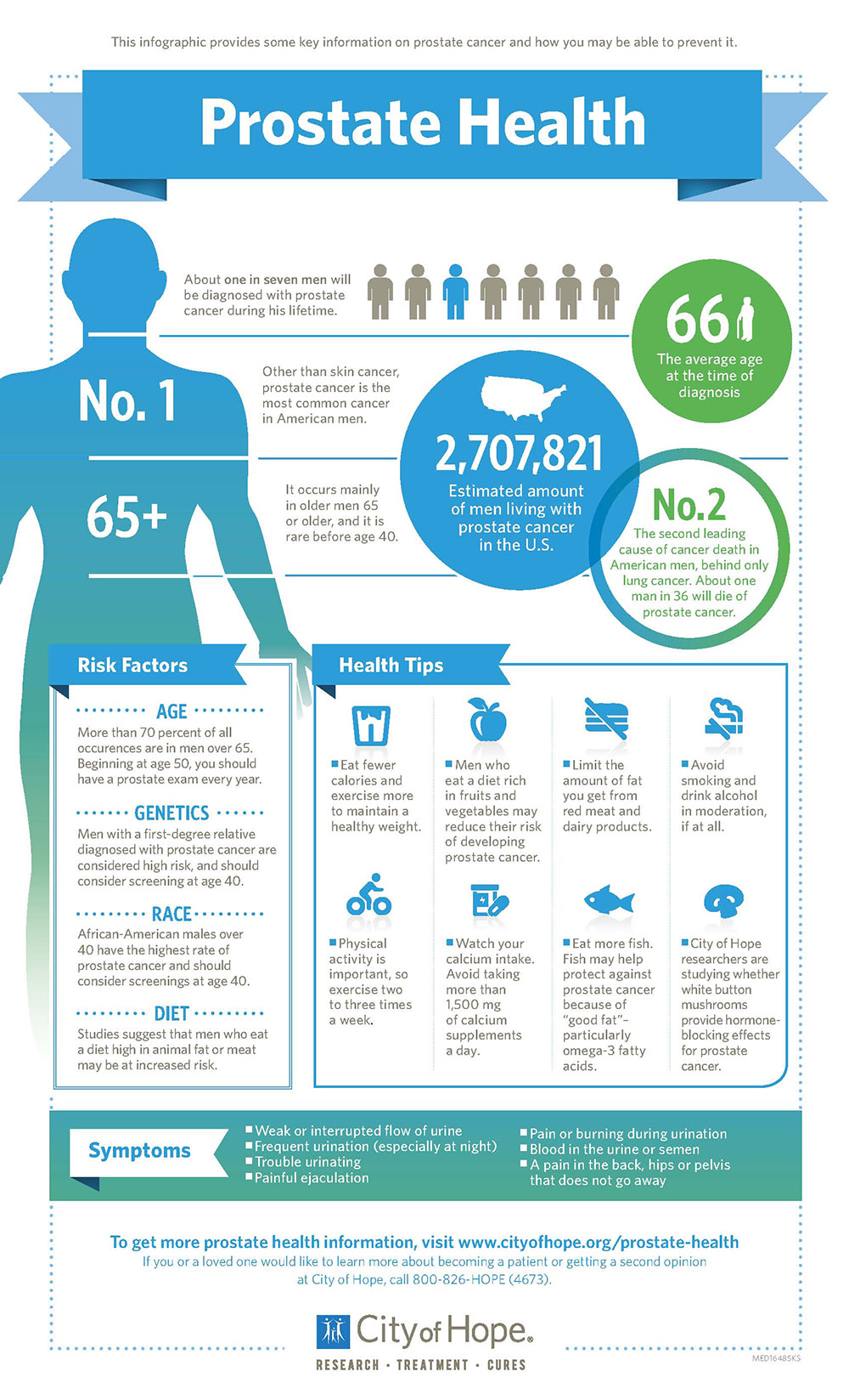 Prostate Health Infographic 