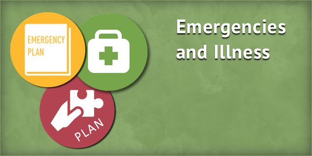 Emergencies and Illness
