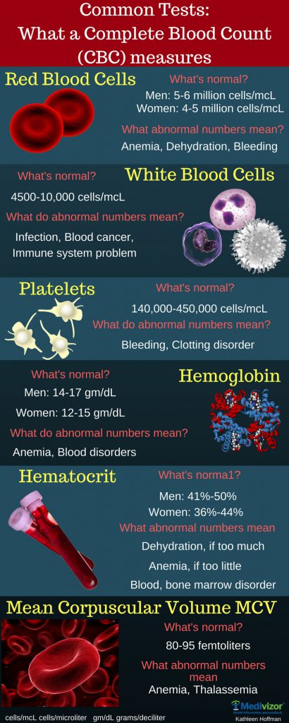 Common Tests Explained: Complete Blood Count Or CBC Infographic