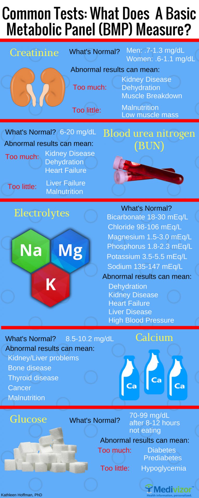 Common Tests Explained Basic Metabolic Panel Or BMP