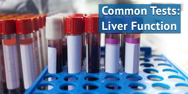 Common Tests: Liver Function