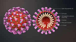 coronavirus