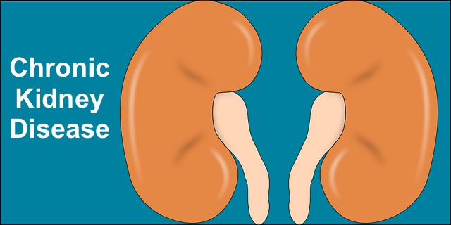 A Silent Condition: Chronic Kidney Disease