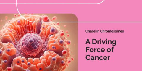 Chaos in Chromosomes: Glioblastoma, and Finding Therapeutic Targets