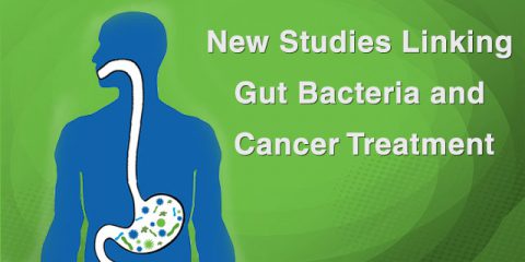 New Studies Linking Gut Bacteria and Cancer Treatment