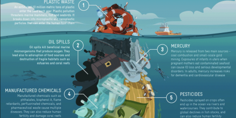 “I am the sea and the sea is me:” Human Health and Ocean Pollution