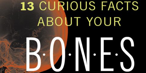 Over 13 Facts About Bones-Medivizor