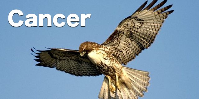 Knowledge, Power, Hope: CancerHawk