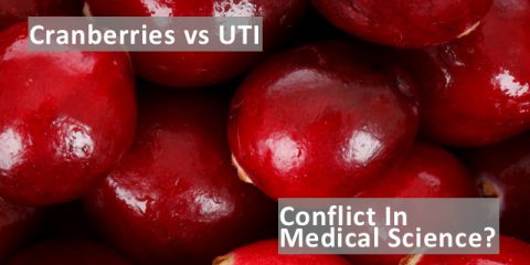 Cranberries vs. UTI – Conflicting Views in Medical Science?