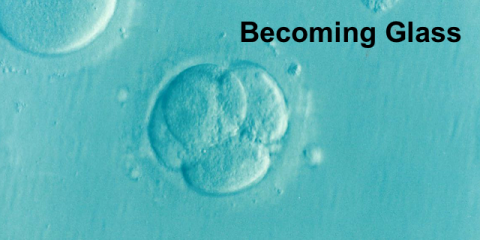 Turning to Glass: Fertility Preservation