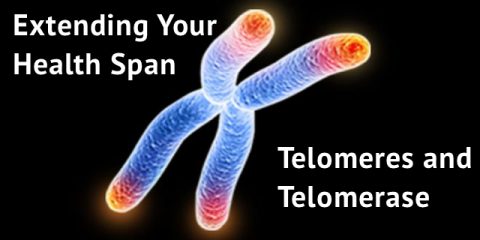 Extending Your Health Span: Telomeres and Telomerase