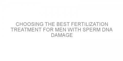 Choosing the best fertilization treatment for men with sperm DNA damage