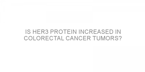 Is HER3 protein increased in colorectal cancer tumors?