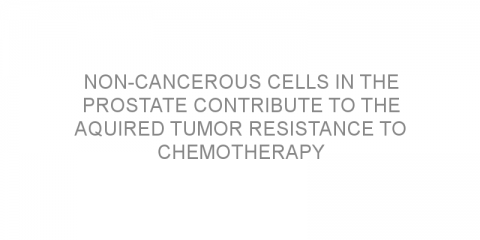 Non-cancerous cells in the prostate contribute to the aquired tumor resistance to chemotherapy