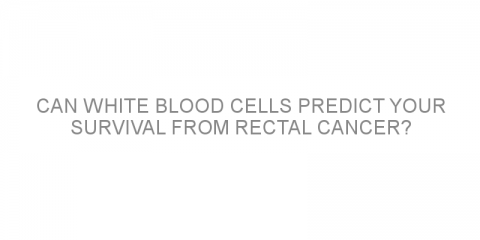 Can white blood cells predict your survival from rectal cancer?