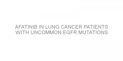 Afatinib in lung cancer patients with uncommon EGFR mutations