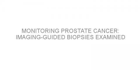Monitoring prostate cancer: Imaging-guided biopsies examined