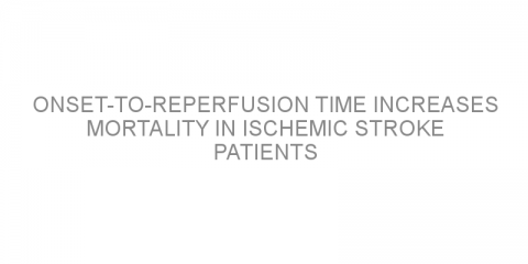 Onset-to-reperfusion time increases mortality in ischemic stroke patients