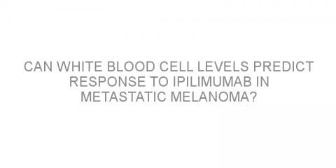 Can white blood cell levels predict response to ipilimumab in metastatic melanoma?