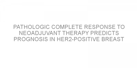 Pathologic complete response to neoadjuvant therapy predicts prognosis in HER2-positive breast cancer