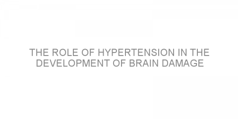 The role of hypertension in the development of brain damage