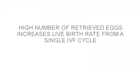 High number of retrieved eggs increases live birth rate from a single IVF cycle