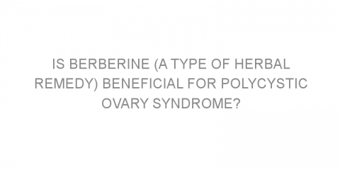 Is berberine (a type of herbal remedy) beneficial for polycystic ovary syndrome?