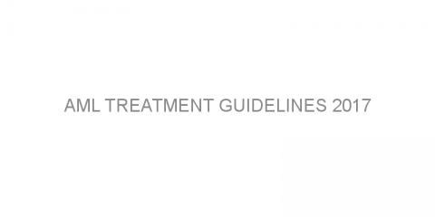 AML treatment guidelines 2017