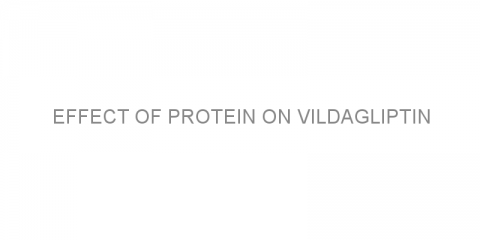 Effect of protein on vildagliptin
