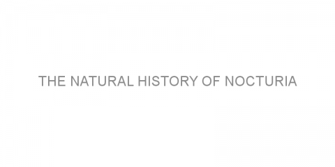 The natural history of nocturia