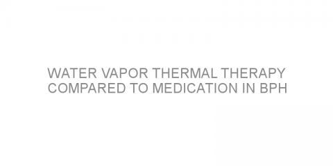 Water vapor thermal therapy compared to medication in BPH