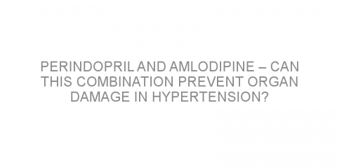 Perindopril and amlodipine – can this combination prevent organ damage in hypertension?