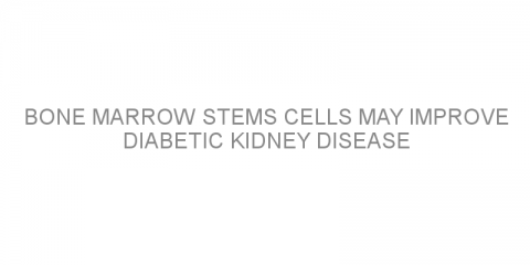 Bone marrow stems cells may improve diabetic kidney disease