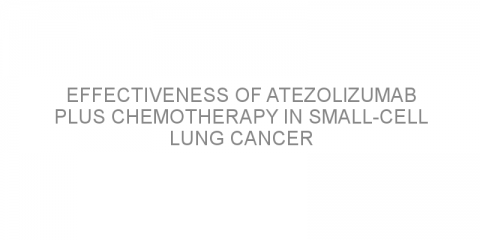 Effectiveness of atezolizumab plus chemotherapy in small-cell lung cancer