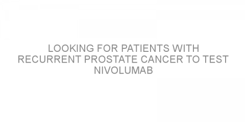 Looking for patients with recurrent prostate cancer to test nivolumab