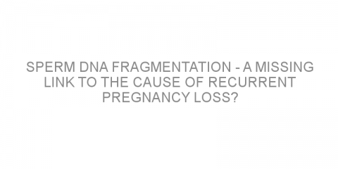 Sperm DNA fragmentation – a missing link to the cause of recurrent pregnancy loss?