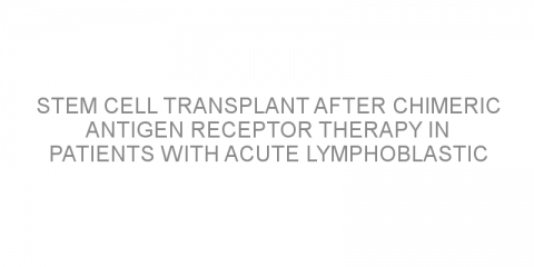 Stem cell transplant after chimeric antigen receptor therapy in patients with acute lymphoblastic leukemia