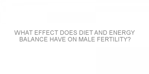 What effect does diet and energy balance have on male fertility?