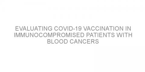 Evaluating COVID-19 vaccination in immunocompromised patients with blood cancers