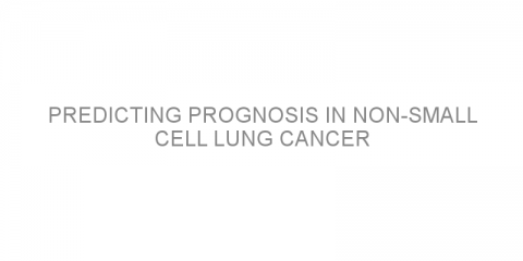 Predicting prognosis in non-small cell lung cancer