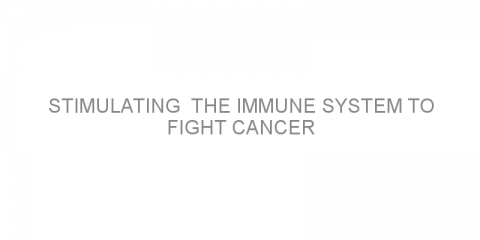 Stimulating  the immune system to fight cancer