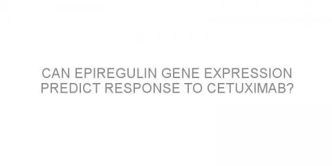 Can epiregulin gene expression predict response to cetuximab?