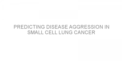 Predicting disease aggression in small cell lung cancer