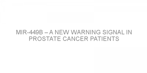 miR-449b – a new warning signal in prostate cancer patients
