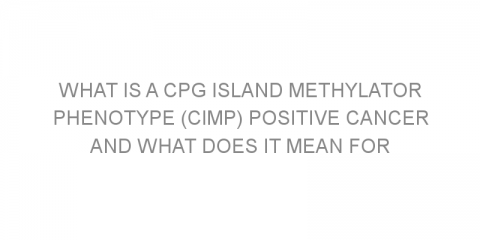 What is a CpG island methylator phenotype (CIMP) positive cancer and what does it mean for colorectal cancer patient survival?